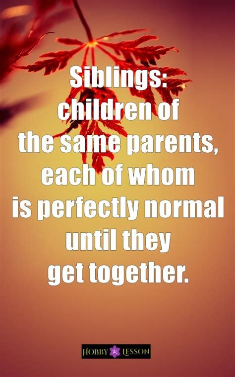 family rivalry quotes|57 Sibling Rivalry Quotes That Capture the Love.